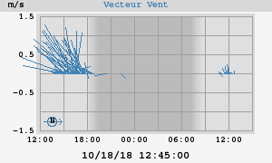 Wind Vector